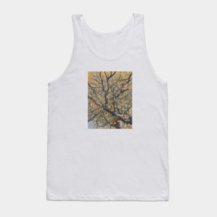 Apples Picture Beautiful Vintage Since Retro Tank Top